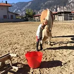 לינה וארוחת בוקר Margit's Ranch Urlaub Am Pferdehof