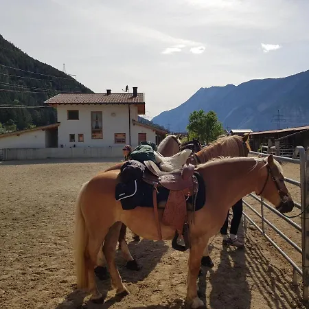 Margit's Ranch Urlaub Am Pferdehof *
