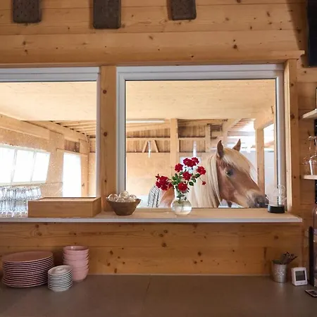 住宿加早餐酒店 Margit's Ranch Urlaub Am Pferdehof