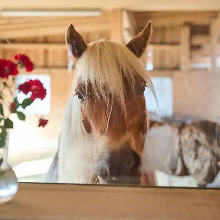 Margit's Ranch Urlaub Am Pferdehof 住宿加早餐酒店 3*