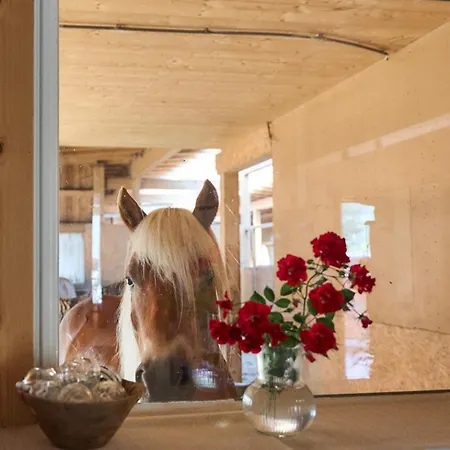 Margit's Ranch Urlaub Am Pferdehof 3* 锡尔茨