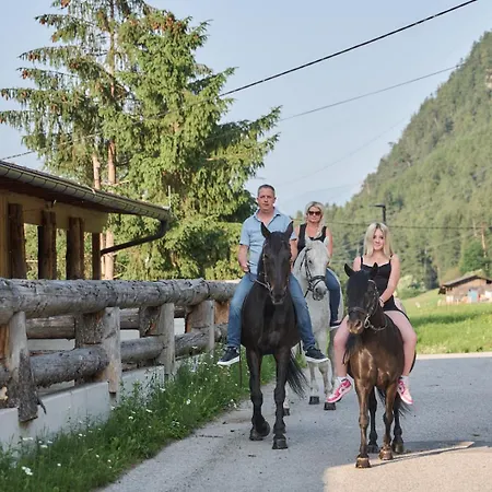 Margit's Ranch Urlaub Am Pferdehof 住宿加早餐酒店 锡尔茨