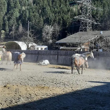 Margit's Ranch Urlaub Am Pferdehof Silz