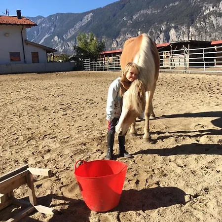 Margit's Ranch Urlaub Am Pferdehof *