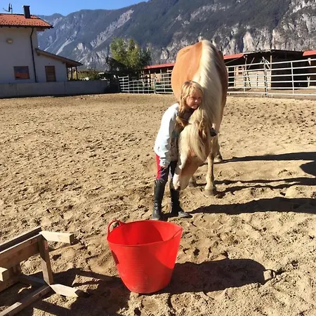 Bed & Breakfast Margit's Ranch Urlaub Am Pferdehof