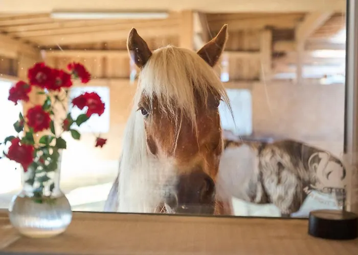 Margit's Ranch Urlaub Am Pferdehof Panzió 3*