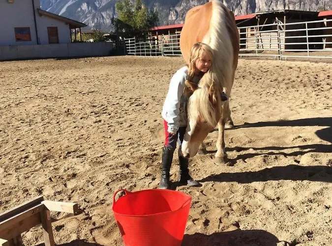 Panzió Margit's Ranch Urlaub Am Pferdehof
