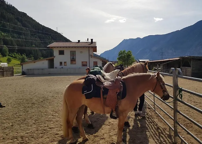 Margit's Ranch Urlaub Am Pferdehof 3*