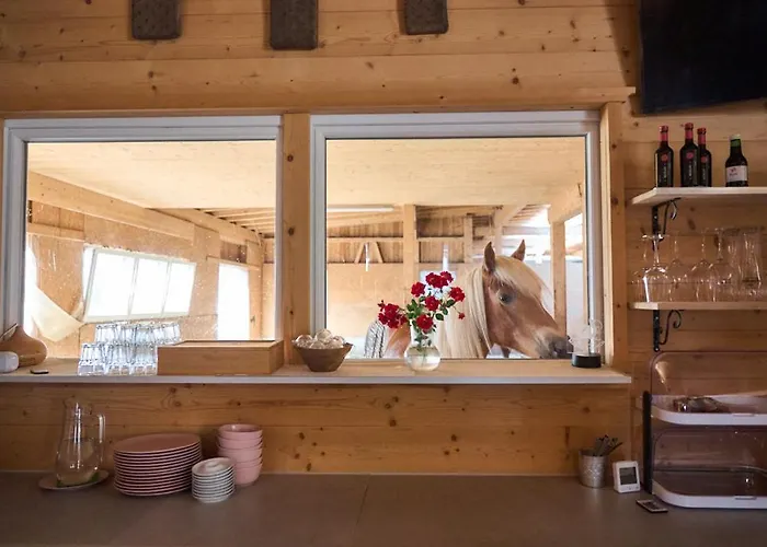 Bed & Breakfast Margit's Ranch Urlaub Am Pferdehof