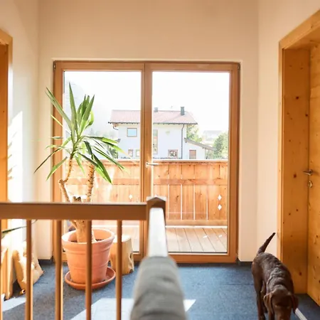 Margit's Ranch Urlaub Am Pferdehof 锡尔茨