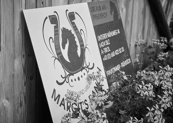 Margit's Ranch Urlaub Am Pferdehof 住宿加早餐酒店 锡尔茨