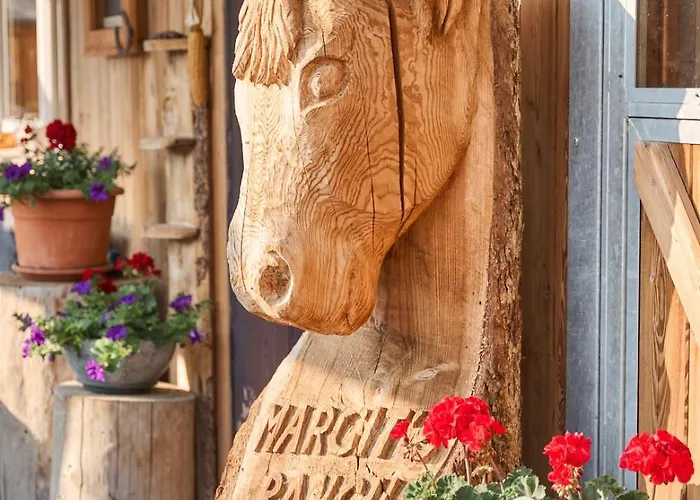 Margit's Ranch Urlaub Am Pferdehof 锡尔茨