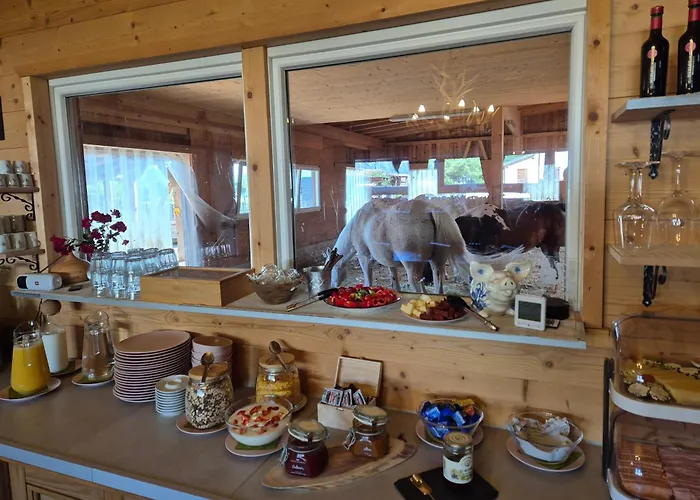 Margit's Ranch Urlaub Am Pferdehof 3* 锡尔茨